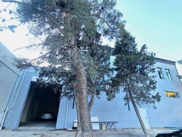 Здания: Təsərrüfatınızın və malınızın etibarlı saxlanması üçün anbar sahəsi! at lalafo.az — 2 Здания: Təsərrüfatınızın və malınızın etibarlı saxlanması üçün anbar sahəsi! — 2