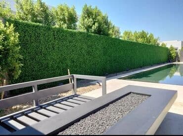 🌿 Süni Çəpər – Təbii Gözəlliyin Süni Həlli! 🌿 📏 Eni 1.00 metr olur 📏 lalafo.az -da 🌿 Süni Çəpər – Təbii Gözəlliyin Süni Həlli! 🌿 📏 Eni 1.00 metr olur 📏