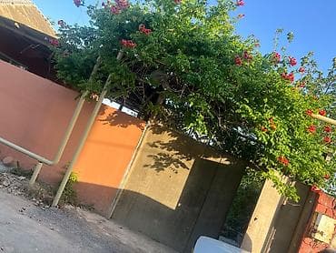 Пос. Гобустан 3 комнаты, 600 м², Средний ремонт at lalafo.az Пос. Гобустан 3 комнаты, 600 м², Средний ремонт