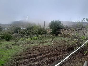 11 sot, Kənd təsərrüfatı, Kupça (Çıxarış) lalafo.az -da — 7 11 sot, Kənd təsərrüfatı, Kupça (Çıxarış) — 7