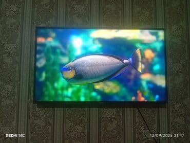 Hissen 123 ekran smartdı ela veziyyetde tecili pul lazımdı diyene lalafo.az -da Hissen 123 ekran smartdı ela veziyyetde tecili pul lazımdı diyene