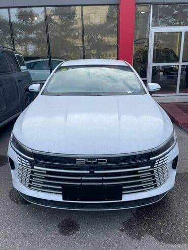 BYD Destroyer 05: 1.5 l | 2024 il lalafo.az -da BYD Destroyer 05: 1.5 l | 2024 il