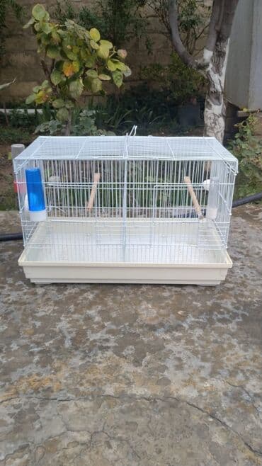 Qəfəslər təzədi 20-50 Azn lalafo.az -da Qəfəslər təzədi 20-50 Azn