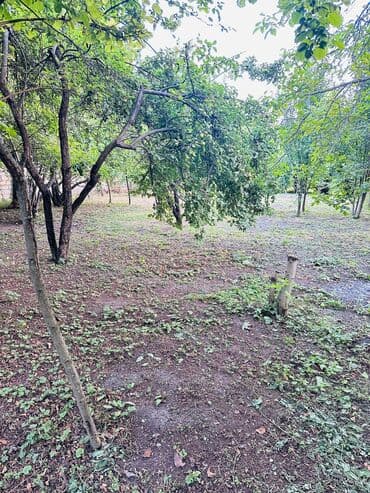 Гаражи: 6 соток, Для сельского хозяйства, Собственник, Купчая at lalafo.az — 3 Гаражи: 6 соток, Для сельского хозяйства, Собственник, Купчая — 3