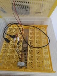 ПО для бизнеса: İnkubator. Tam işlək .96 yumurtalıq at lalafo.az — 3 ПО для бизнеса: İnkubator. Tam işlək .96 yumurtalıq — 3