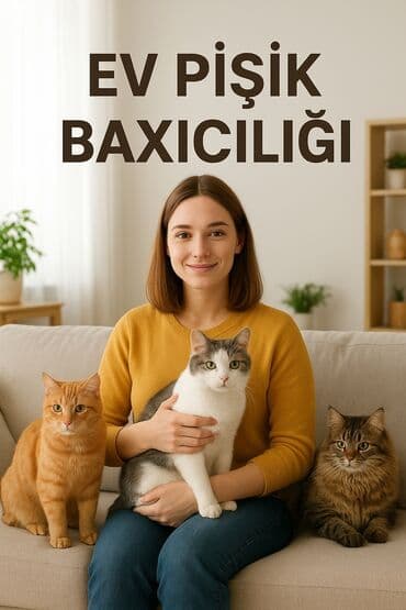 🐾 Evdə pişik baxıcılığı – sevgi və qayğı ilə! 🏡 Səyahətə gedirsən və lalafo.az -da 🐾 Evdə pişik baxıcılığı – sevgi və qayğı ilə! 🏡 Səyahətə gedirsən və