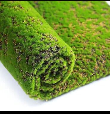 Bitki dərmanları: Məhsul: Təbiətvi̇ zolaqlı yosun/mahov örtüyü – hazır plitələr Təsvir lalafo.az -da — 11 Bitki dərmanları: Məhsul: Təbiətvi̇ zolaqlı yosun/mahov örtüyü – hazır plitələr Təsvir — 11