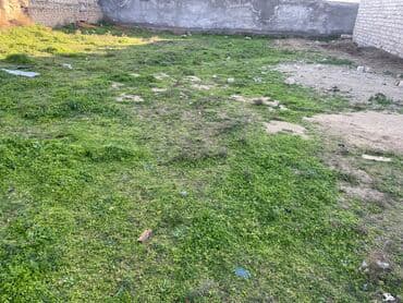 6 sot, Tikinti, Mülkiyyətçi, Kupça (Çıxarış) lalafo.az -da 6 sot, Tikinti, Mülkiyyətçi, Kupça (Çıxarış)