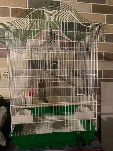 Quş qəfəsi əşyaları ilə birlikdə satılır lalafo.az -da Quş qəfəsi əşyaları ilə birlikdə satılır