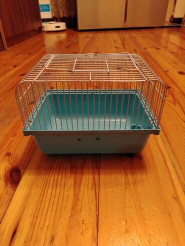 Kiçik ev heyvanları üçün nəzərdə tutulmuş, mavi rəngli plastik altlığı lalafo.az -da Kiçik ev heyvanları üçün nəzərdə tutulmuş, mavi rəngli plastik altlığı