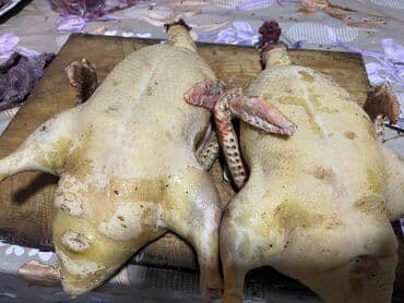 Məhsul: Kəsilmiş və təmizlənmiş lal ördek Təsvir: - Şəkildə iki ədəd lalafo.az -da Məhsul: Kəsilmiş və təmizlənmiş lal ördek Təsvir: - Şəkildə iki ədəd