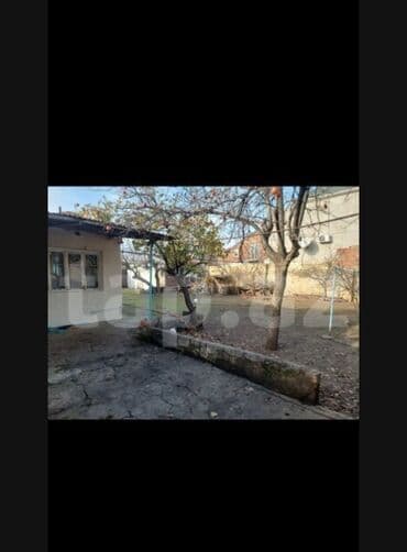 6 sot, Bələdiyyə lalafo.az -da 6 sot, Bələdiyyə