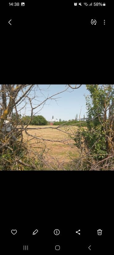 Mülkiyyətçi lalafo.az -da Mülkiyyətçi