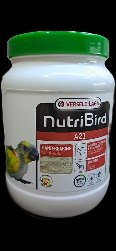 Papuqayi tutu quwun karellani daniwdirmaq ve ele oyretmek ucundu lalafo.az -da Papuqayi tutu quwun karellani daniwdirmaq ve ele oyretmek ucundu