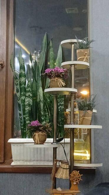 Qilinc gülü 1əd (1kök) 1azn.dən baslayir 7.aznə qədər Kicikdən böyüyə lalafo.az -da Qilinc gülü 1əd (1kök) 1azn.dən baslayir 7.aznə qədər Kicikdən böyüyə