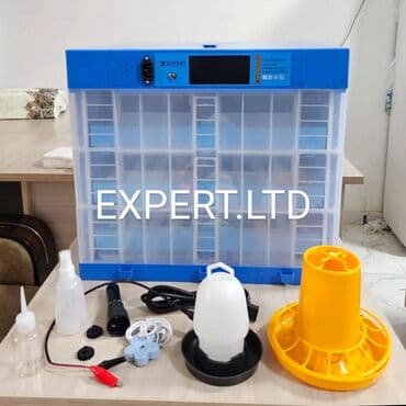 Экстракторы масла: 100 яиц, Китай, Полностью автоматическая, Для всех видов птиц, С гарантией at lalafo.az — 10 Экстракторы масла: 100 яиц, Китай, Полностью автоматическая, Для всех видов птиц, С гарантией — 10