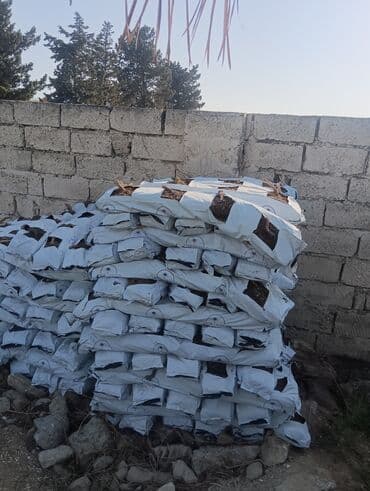 Уличные растения: Torf gubresi butun gubreler var
catrlma sayina gorə at lalafo.az — 15 Уличные растения: Torf gubresi butun gubreler var
catrlma sayina gorə — 15