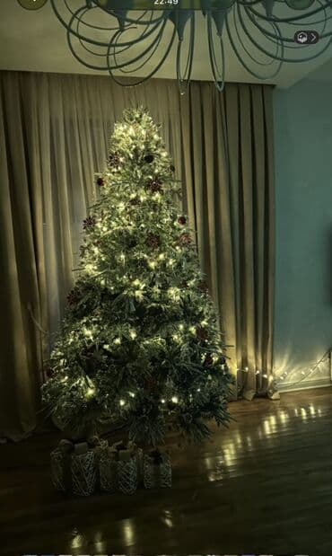 Şam ağacı – dekorativ LED işıqlı - Hündürlük: təxminən 2,60 - Effekt lalafo.az -da Şam ağacı – dekorativ LED işıqlı - Hündürlük: təxminən 2,60 - Effekt