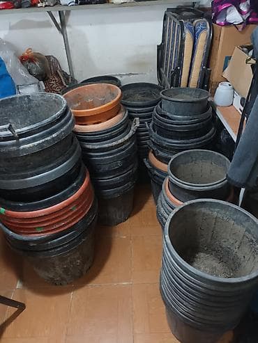Tecili satilir hamsi birlikde tek tek verilmir 90 yaxin boyuk qablardi lalafo.az -da Tecili satilir hamsi birlikde tek tek verilmir 90 yaxin boyuk qablardi