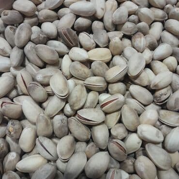 Məhsul: Qabıqlı Antep fıstığı (püstə) Temiz Baki püsdesidi 10 kilo di lalafo.az -da Məhsul: Qabıqlı Antep fıstığı (püstə) Temiz Baki püsdesidi 10 kilo di