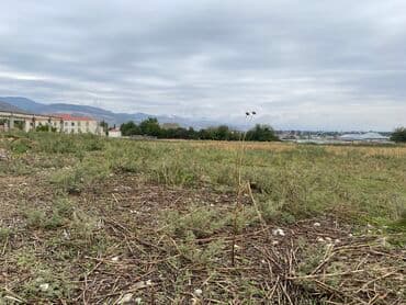 200 sot, Tikinti, Barter mümkündür, Kupça (Çıxarış) lalafo.az -da 200 sot, Tikinti, Barter mümkündür, Kupça (Çıxarış)