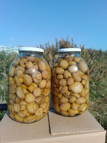 Göbələk turşusu satılır. 3 kq lıq balon. Qiymət 11 azndir. 4+ sayda lalafo.az -da Göbələk turşusu satılır. 3 kq lıq balon. Qiymət 11 azndir. 4+ sayda