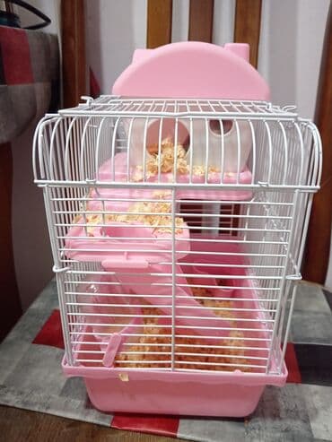 Hamster üçün tam dəst qəfəs - Rəng: açıq çəhrayı/ağ - Korpus: möhkəm lalafo.az -da Hamster üçün tam dəst qəfəs - Rəng: açıq çəhrayı/ağ - Korpus: möhkəm