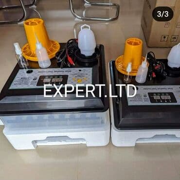 100 yumurta, Çin, Fabrik istehsalı, Tam avtomat, Bütün növ quşlaq üçün lalafo.az -da 100 yumurta, Çin, Fabrik istehsalı, Tam avtomat, Bütün növ quşlaq üçün