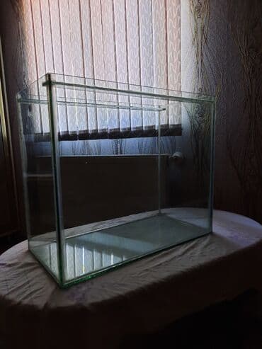 Dördbucaq akvarium, Boş, 90 l, Ünvandan götürmə lalafo.az -da Dördbucaq akvarium, Boş, 90 l, Ünvandan götürmə