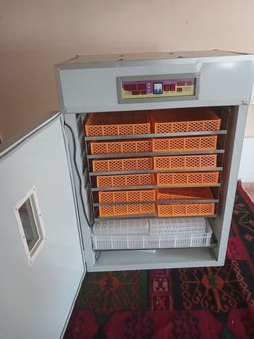 1100 yumurta, Türkiyə, Tam avtomat, Bütün növ quşlaq üçün, Fabrik istehsalı lalafo.az -da 1100 yumurta, Türkiyə, Tam avtomat, Bütün növ quşlaq üçün, Fabrik istehsalı