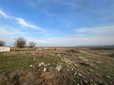 Kənd təsərrüfatı lalafo.az -da Kənd təsərrüfatı