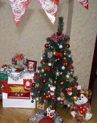 Şam ağacı- Yolka 1.50 sm lalafo.az -da Şam ağacı- Yolka 1.50 sm