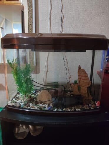 Boş, 70 l, Ünvandan götürmə lalafo.az -da Boş, 70 l, Ünvandan götürmə