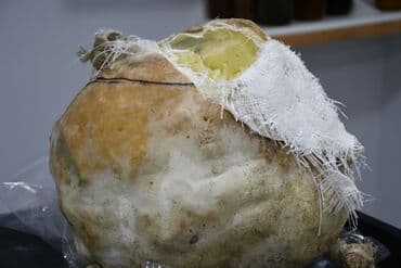 Соления: Salam Bakida Şərifzadə küçəsində yerləşir mağaza tam təbii organik at lalafo.az — 12 Соления: Salam Bakida Şərifzadə küçəsində yerləşir mağaza tam təbii organik — 12