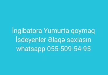 İnkubatorda yumurta çıxardılması xidməti. - Müxtəlif quş növlərinin lalafo.az -da İnkubatorda yumurta çıxardılması xidməti. - Müxtəlif quş növlərinin