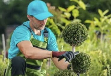 Salam bağ evində iş axtarırıq Ailəyik Təmizlik bağbaxça İşləri ev lalafo.az -da Salam bağ evində iş axtarırıq Ailəyik Təmizlik bağbaxça İşləri ev