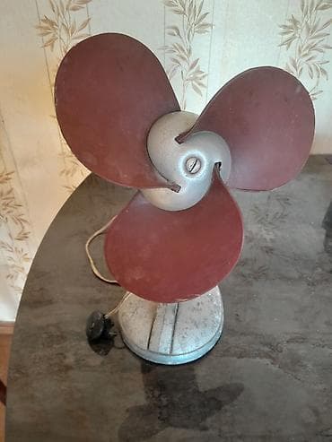 Qədimdir Tam işləkdi Fikri ciddi olan yazsın at lalafo.az Qədimdir Tam işləkdi Fikri ciddi olan yazsın