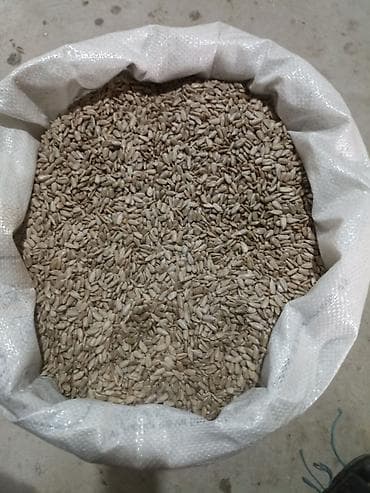 Əvvəla Salam əziz müştərilər halva istehsalı və evdə istifadə üçün lalafo.az -da Əvvəla Salam əziz müştərilər halva istehsalı və evdə istifadə üçün