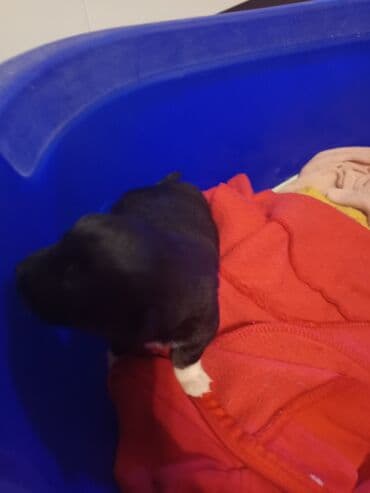 1 ay lalafo.az -da 1 ay