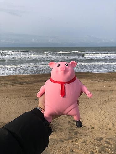 Oyuncaqlar lalafo.az -da Oyuncaqlar