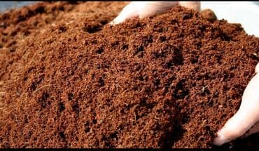 Bitki torpaqları: Məhsul: Torf və üzvi torpaq qarışıqları Təsvir: - Yüksək lalafo.az -da — 1 Bitki torpaqları: Məhsul: Torf və üzvi torpaq qarışıqları Təsvir: - Yüksək — 1