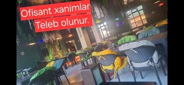 Ofisiant tələb olunur, Pivə barı, Gündəlik ödəniş lalafo.az -da Ofisiant tələb olunur, Pivə barı, Gündəlik ödəniş