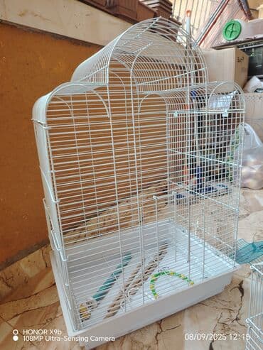 Quşlar üçün qəfəs və daşıma çantası dəsti - Böyük metal qəfəs: Ağ lalafo.az -da Quşlar üçün qəfəs və daşıma çantası dəsti - Böyük metal qəfəs: Ağ