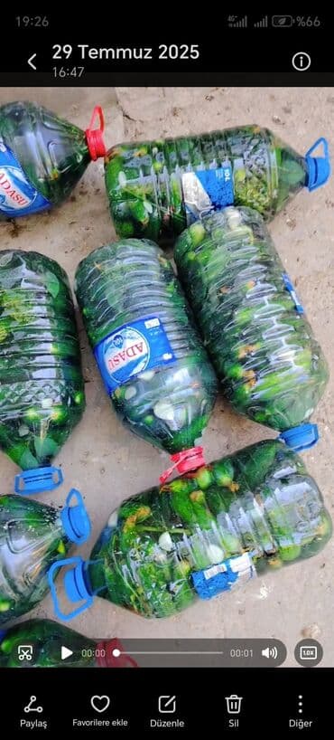 Evdə hazırlanmış xiyar turşusu. Təzə xiyarların şüşə bankalarda və ya lalafo.az -da Evdə hazırlanmış xiyar turşusu. Təzə xiyarların şüşə bankalarda və ya