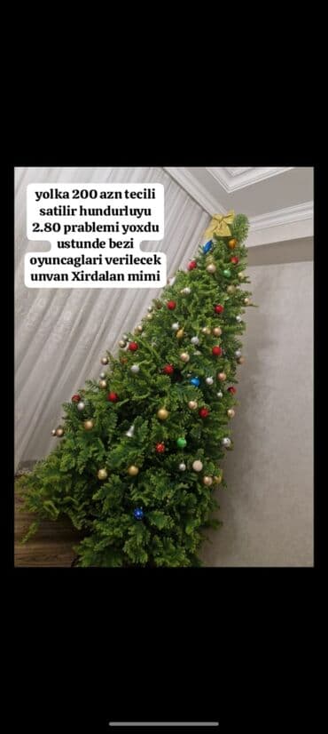 Yolka 200 azn tecili satilir hundurluyu 2.80 prablemi yoxdu ustunde lalafo.az -da Yolka 200 azn tecili satilir hundurluyu 2.80 prablemi yoxdu ustunde