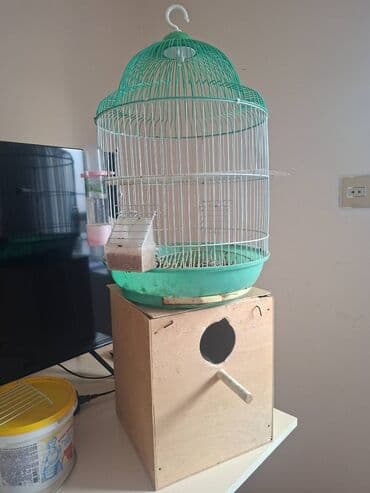 Qefes yuva ve korella ucun yem satilir qefes kohnedir amma lalafo.az -da Qefes yuva ve korella ucun yem satilir qefes kohnedir amma