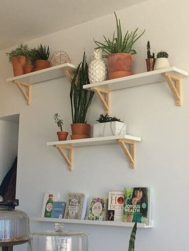 Yeni, Kitab rəfi, Düz, Azərbaycan lalafo.az -da Yeni, Kitab rəfi, Düz, Azərbaycan