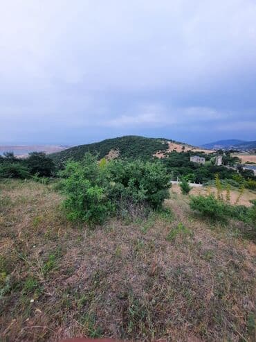 33 sot, Tikinti, Barter mümkündür, Kupça (Çıxarış) lalafo.az -da 33 sot, Tikinti, Barter mümkündür, Kupça (Çıxarış)