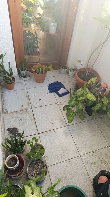 Кухонные краны: Перегородка, Прямоугольная at lalafo.az — 8 Кухонные краны: Перегородка, Прямоугольная — 8