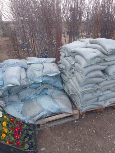 Torf kakabit peyin qara torpaq satışı 150 ədədən çox alana lalafo.az -da Torf kakabit peyin qara torpaq satışı 150 ədədən çox alana